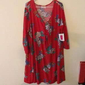 Red flower long sleeve dress NWOT